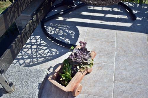 Casa Istriana - Heart Of Nature