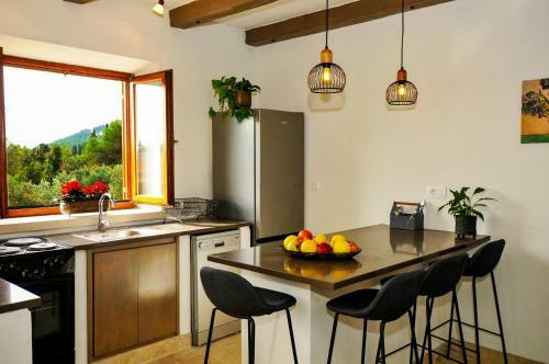 Fig Tree Villa - Korcula