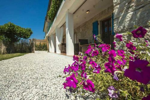 Casa Atilio & Ana