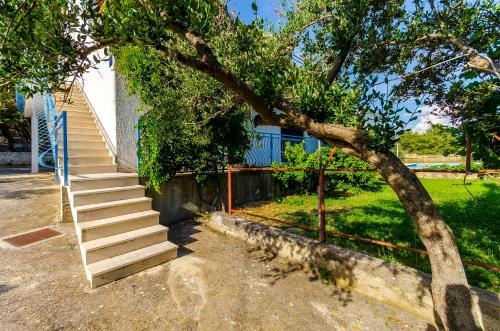 Apartments Ugrina