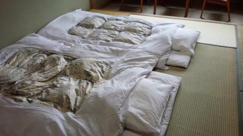 Hotel Hosonokan