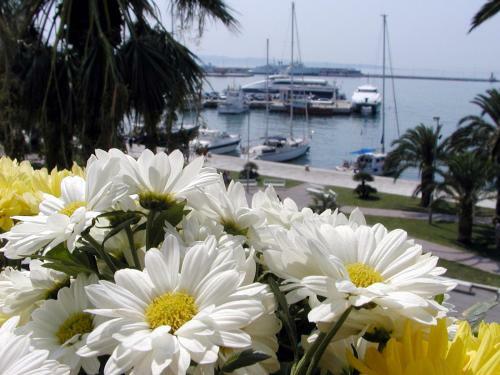 Hostal Riva Palace