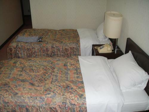 Hakuba Park Hotel