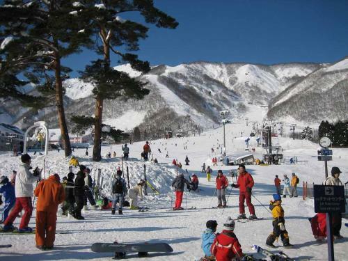 Hakuba Park Hotel