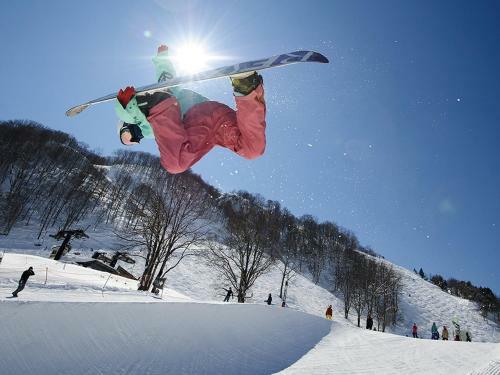 Hakuba Park Hotel