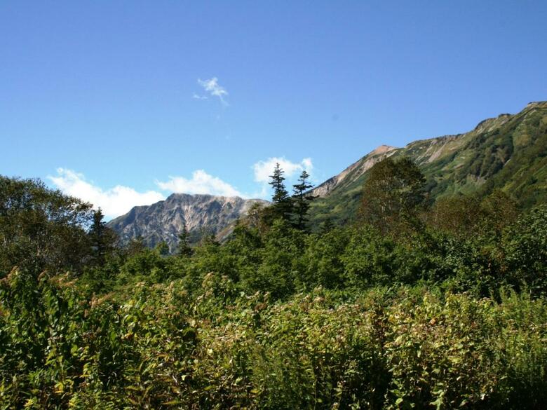 Hakuba High Mount Hotel