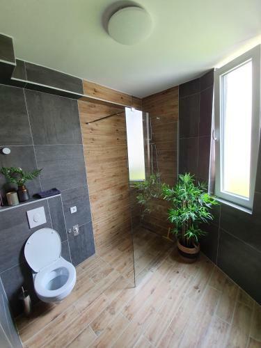 Apartamentos Grand Palace