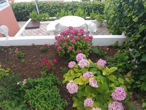 Apartments Zdrave - Free Parking