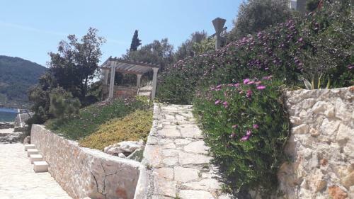 Apartamentos Villa Rosa