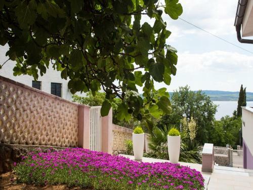 Apartments Villa Dream