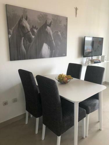 Apartment Zrin