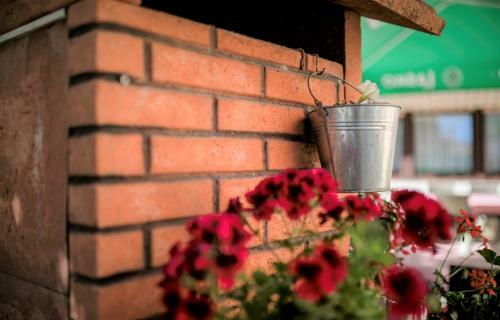 Hostal Apartments Palit Rab
