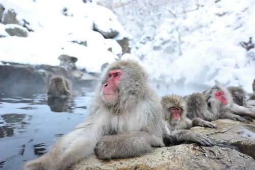 Kidoike Onsen Hotel