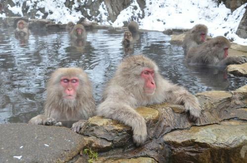 Kidoike Onsen Hotel