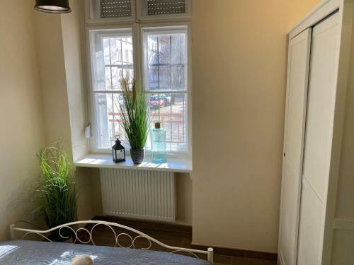 Pedal Apartman Szeged City
