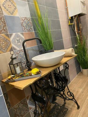 Pedal Apartman Szeged City