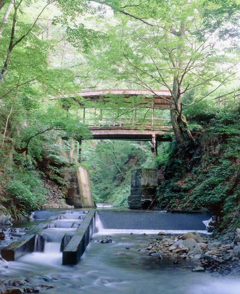 Saito Hotel