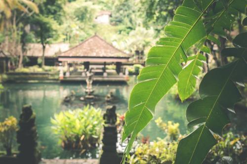 Luxury 4 Bedroom Villa With Private Pool, Bali Villa 2043