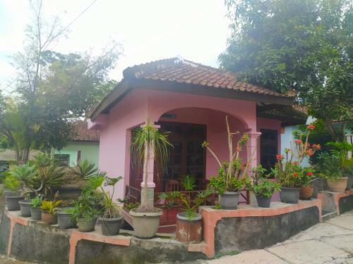 Hotel Reddoorz Plus Near Rs Grhasia Kaliurang