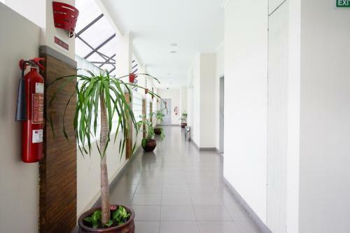 Dinasty Smart Hotel