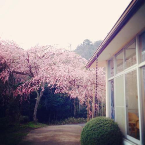Hostal Amanohashidate Youth Hostel