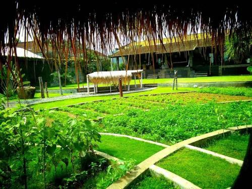 Hostal 4 Bedroom The Camilia Homes Bali