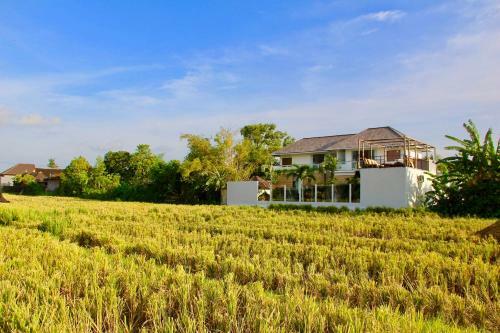 Exclusive Villas Complex 7 Br Seminyak Center W Staff