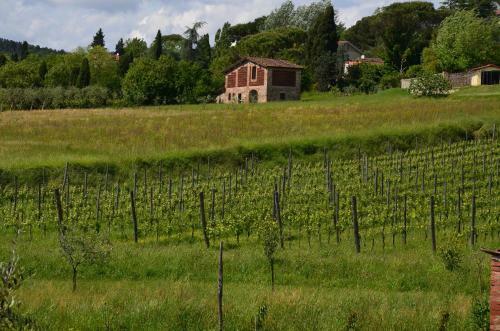 Agroturismo Agriturismo Al Podere Di Rosa