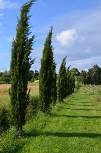 Agroturismo Agriturismo Al Podere Di Rosa