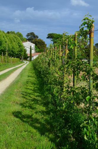Agroturismo Agriturismo Al Podere Di Rosa