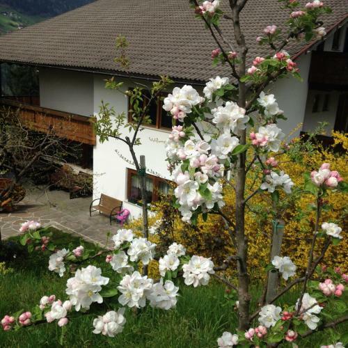 Hostal Pension St. Ursula