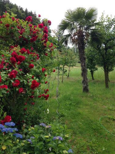 Hostal Pension St. Ursula
