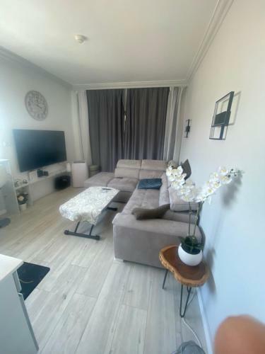 Luxury Haifa Hotel Suite With Ocean View