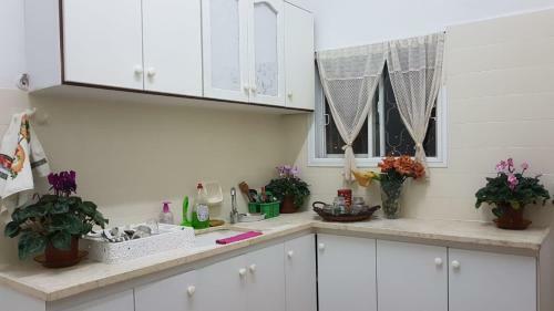 Apartamento Oasis Guest House