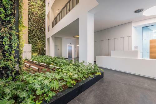 Apartamento Front Of Beach - Trumpeldor Street