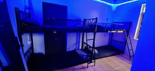 Radical Times Hostel