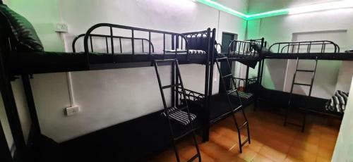 Radical Times Hostel