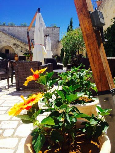 Bed & Breakfast Castello Conti Filo