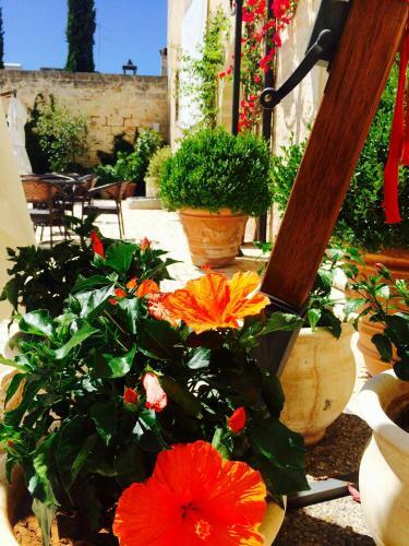 Bed & Breakfast Castello Conti Filo
