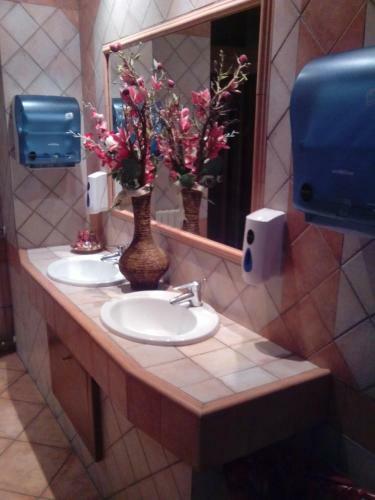 Hotel Cigno Reale