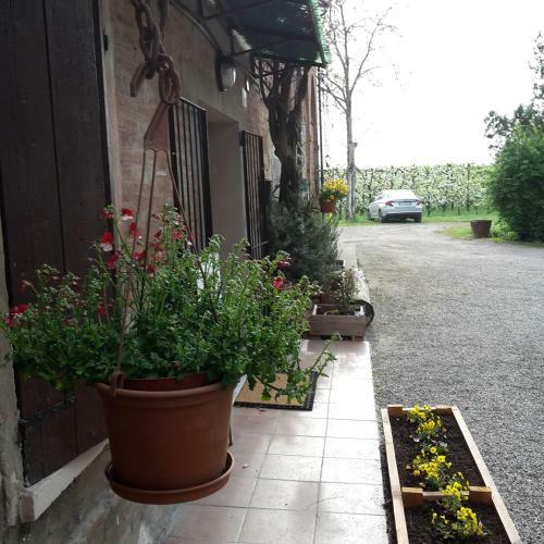 Agroturismo Agriturismo Dosso Al Porto