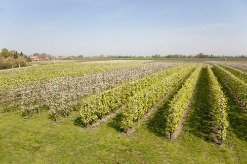 Agroturismo Agriturismo Dosso Al Porto