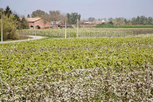 Agroturismo Agriturismo Dosso Al Porto