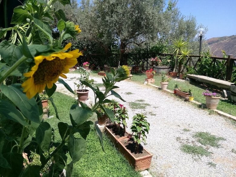 Agroturismo L'uliveto