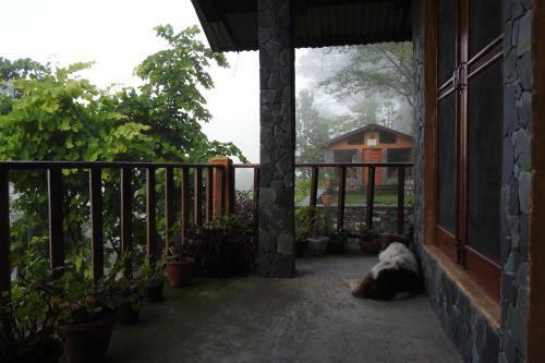 Vamoose Camp Suryagaon