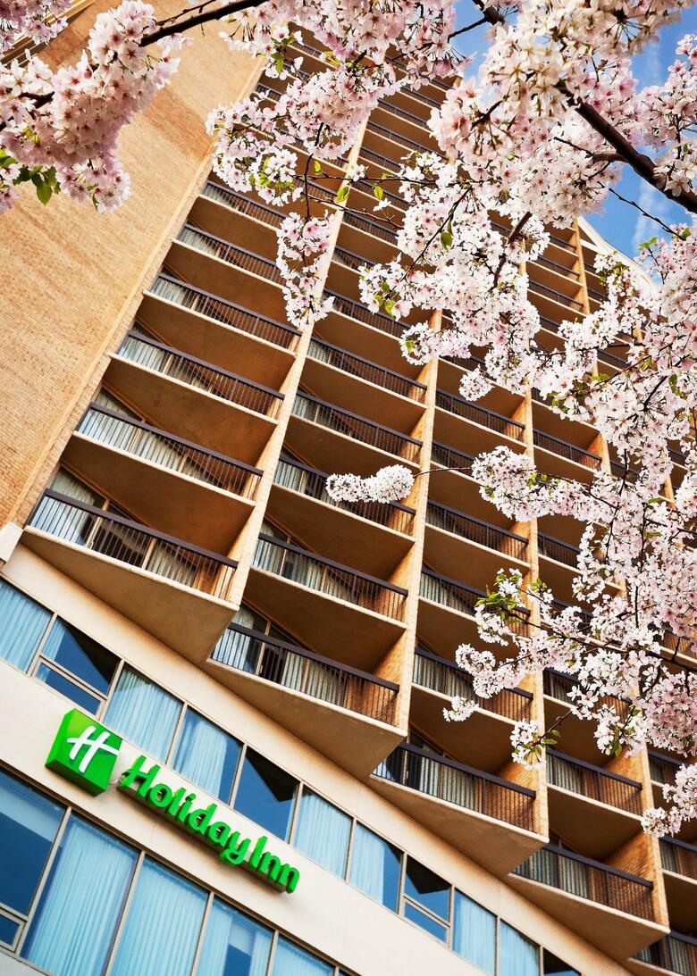 Hotel Holiday Inn Rosslyn At Key Bridge