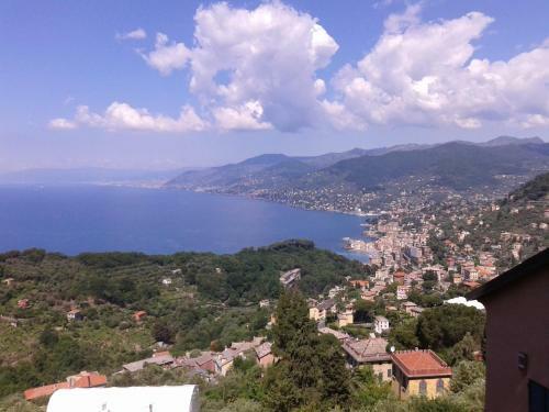 B&B I Glicini