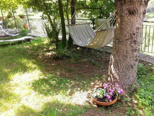 B&B I Glicini