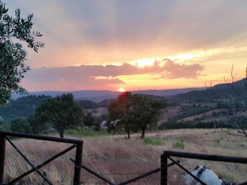 Agroturismo Agriturismo D' Epoca La Marianella