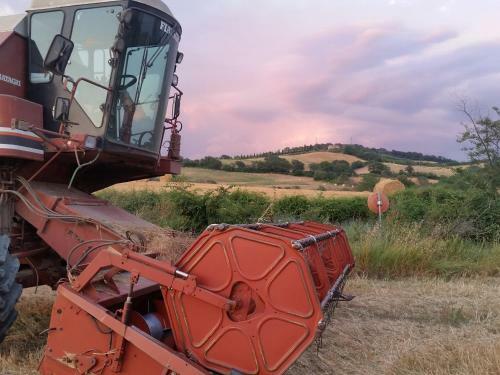Agroturismo Agriturismo D' Epoca La Marianella